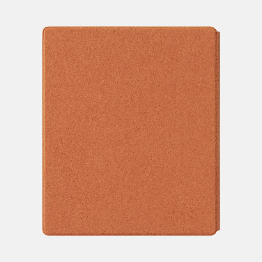 The Verge / BOOX Tab X